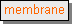 Text Box: membrane