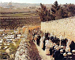 Palm Sunday procession to St Anne's, Jerusalem. (640x587. 278kb.)