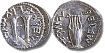 Bar Kochbar - Zuz - Denarius