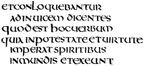 codex amiatinus