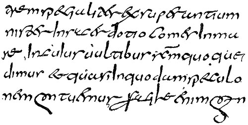 homilies of st maximus