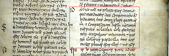 Book of Armagh F36
