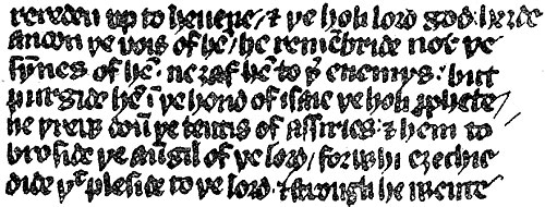 wycliffe bible