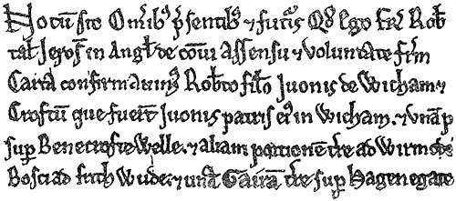 charter hospitallers