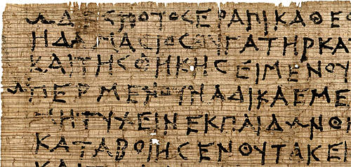 Artemisia Papyrus