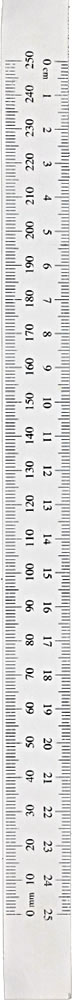 Ruler
