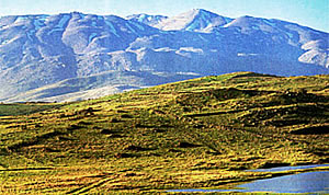 Mount Hermon.