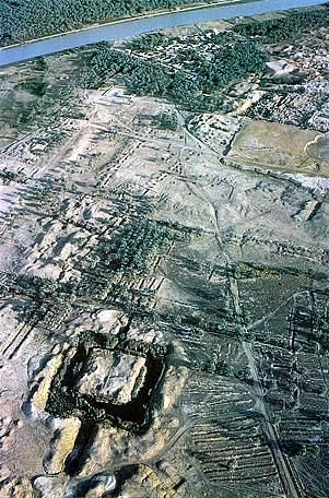 Ninehah