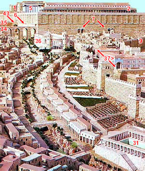Jerusalem from the South.